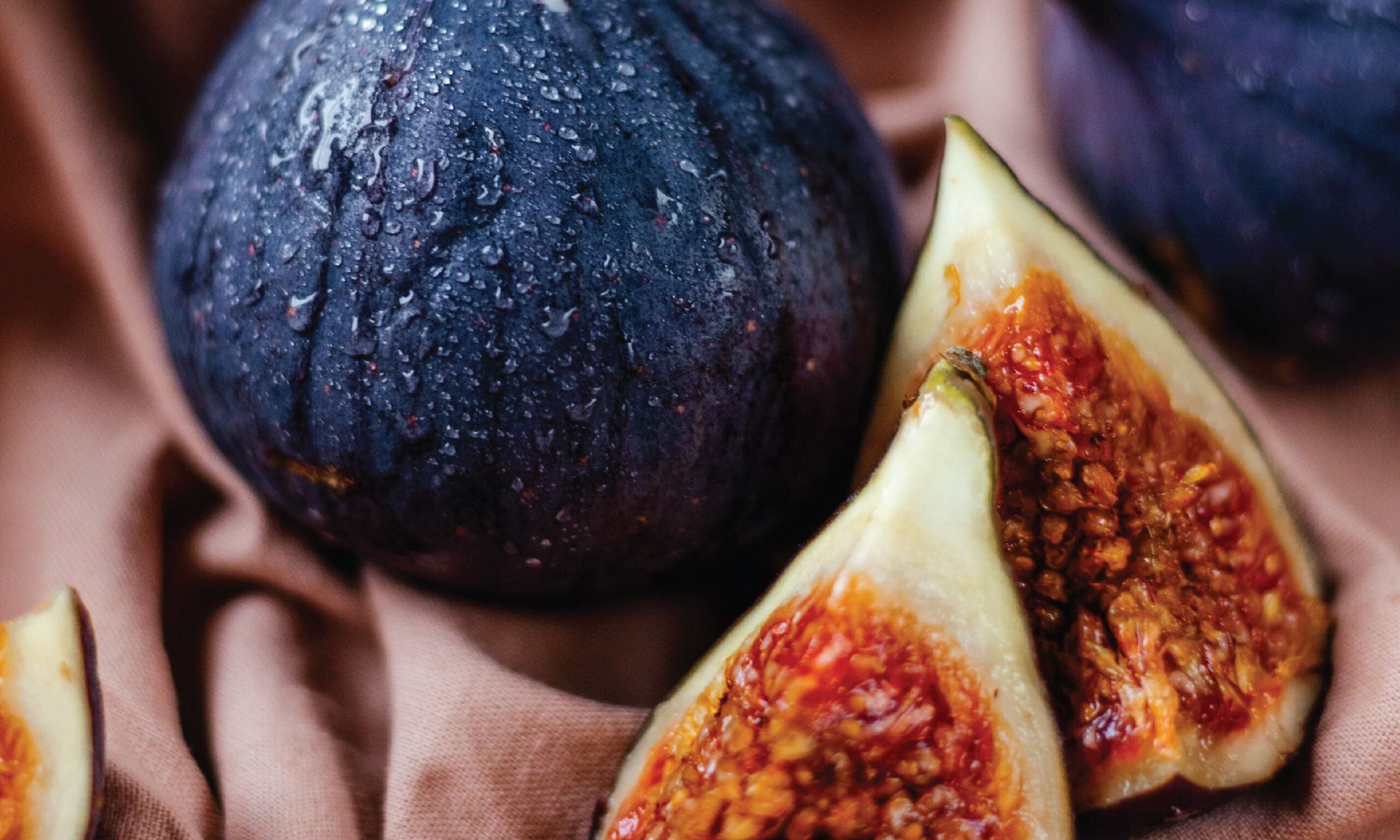 Does God Lead Us into Temptation?