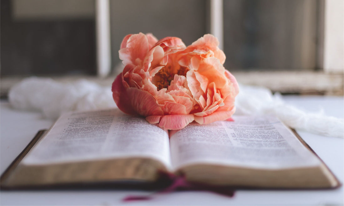 How to Memorize a Larger Passage of Scripture