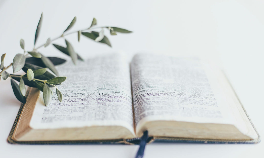 Reading Plan or Bible Study? The Benefits of Reading Wide and Deep