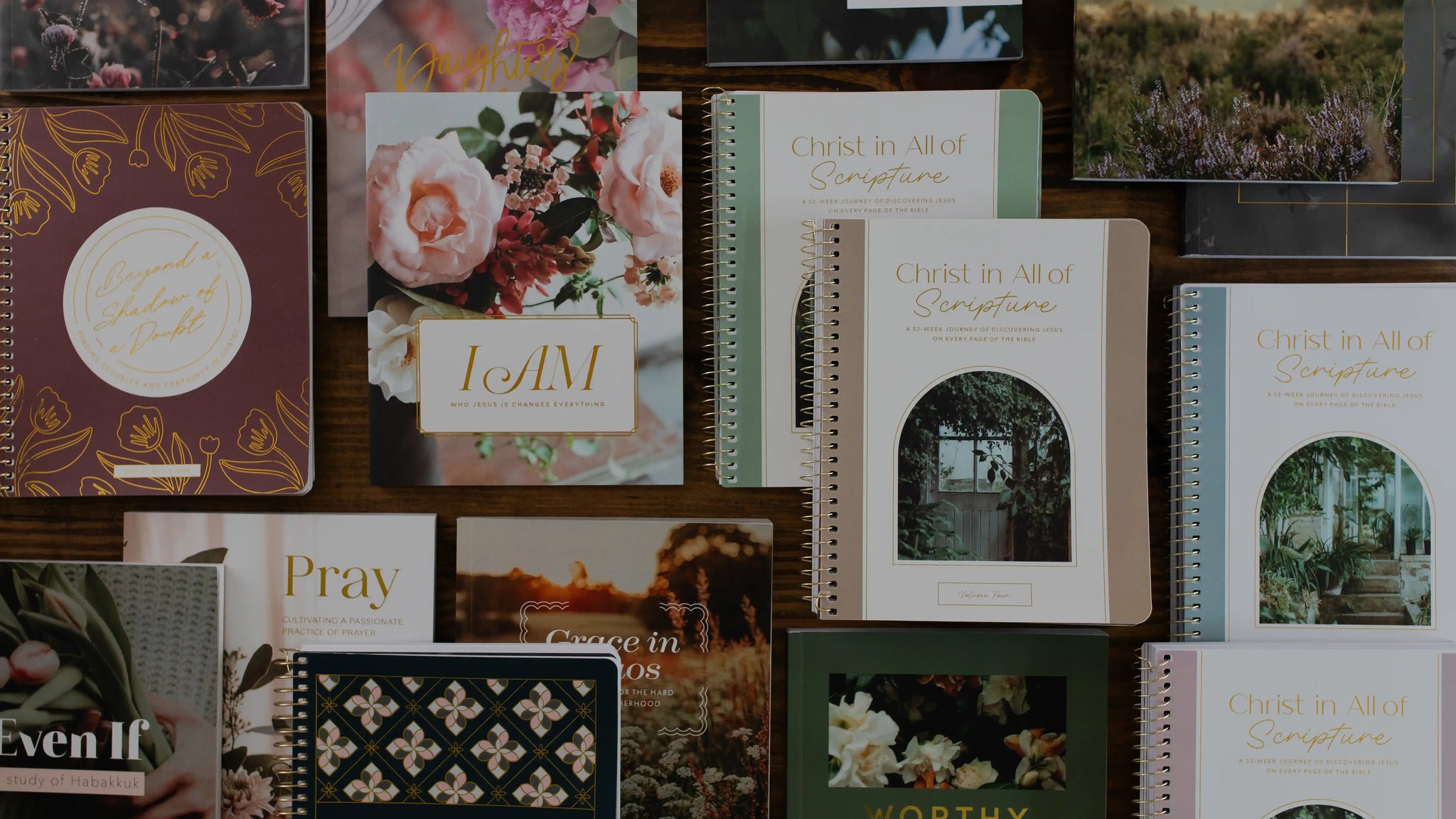 A Variety of Daily Grace Studies laid out 