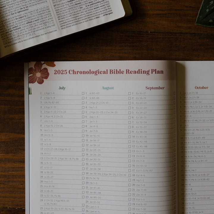 2025 Chronological Bible Reading Plan page for 2025 Prayer Calendar on a table with Bible open in the background