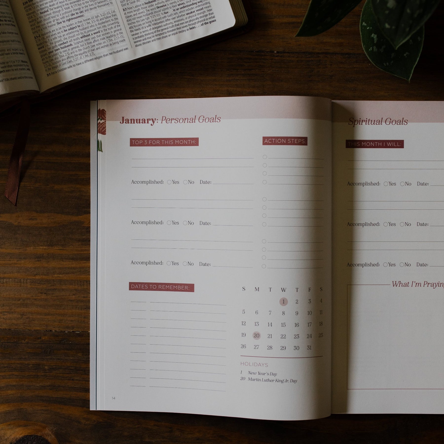 2025 Prayer Calendar TDGC The Daily Grace Co.