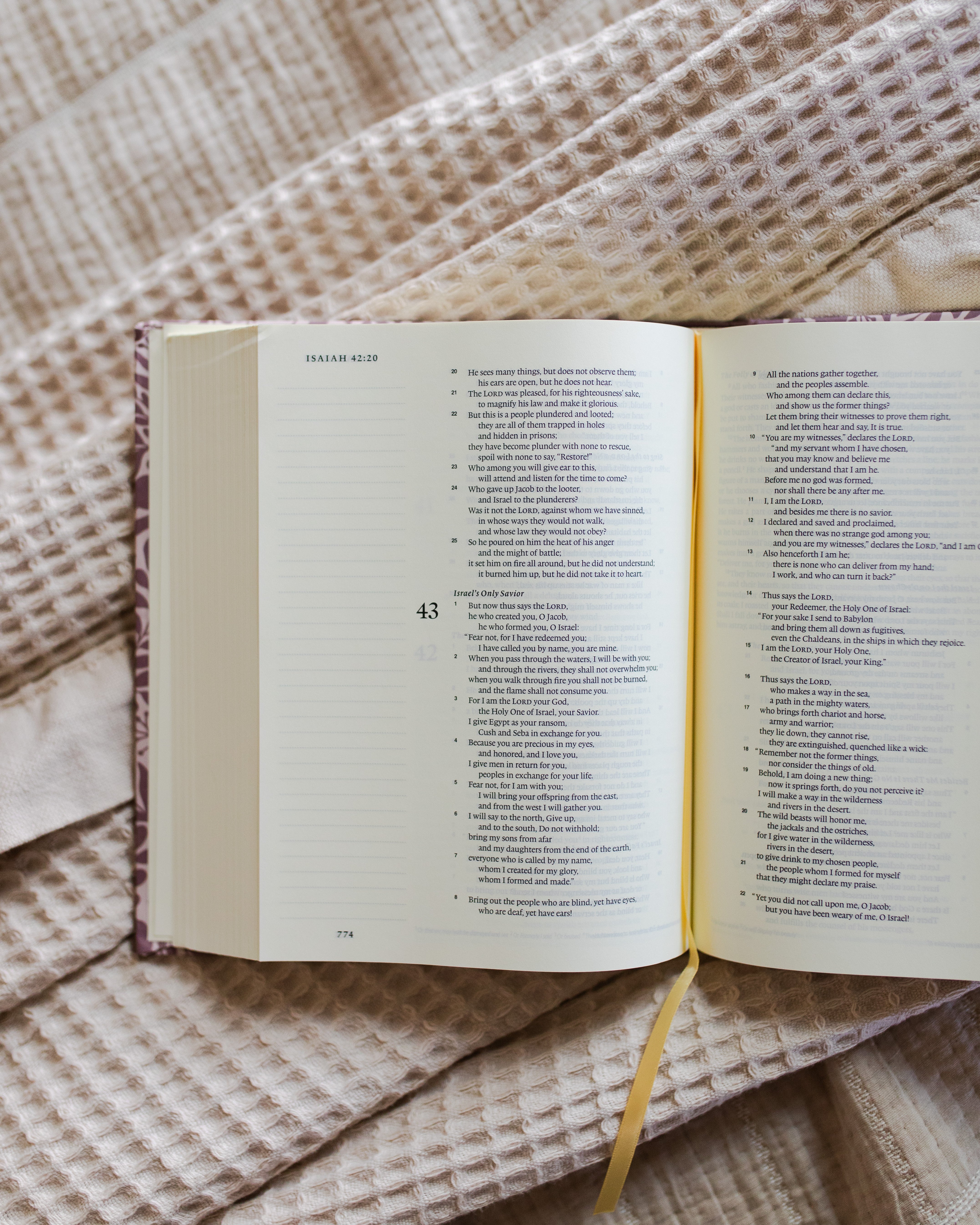 ESV Journaling Bible - Rose Floral | TDGC – The Daily Grace Co.