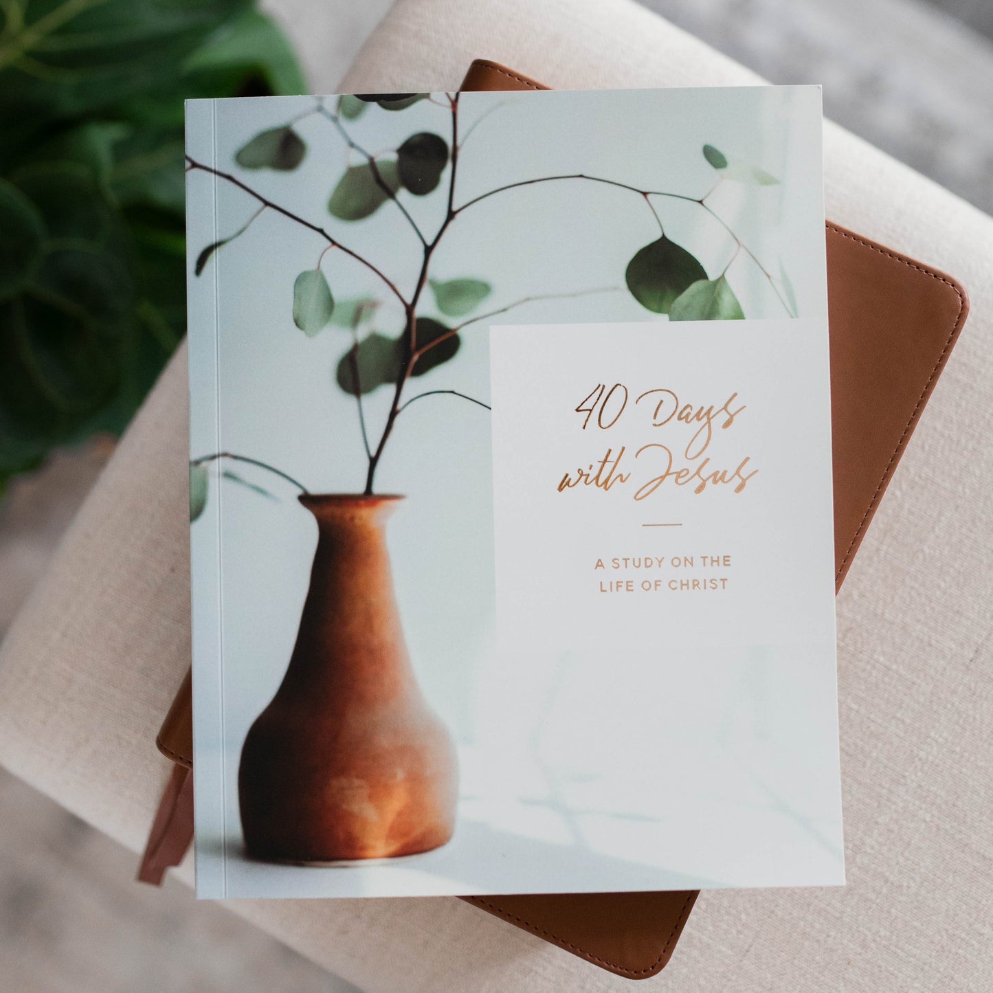 40 Days with Jesus | A Study on the Life of Christ | Matte Paper | TDGC