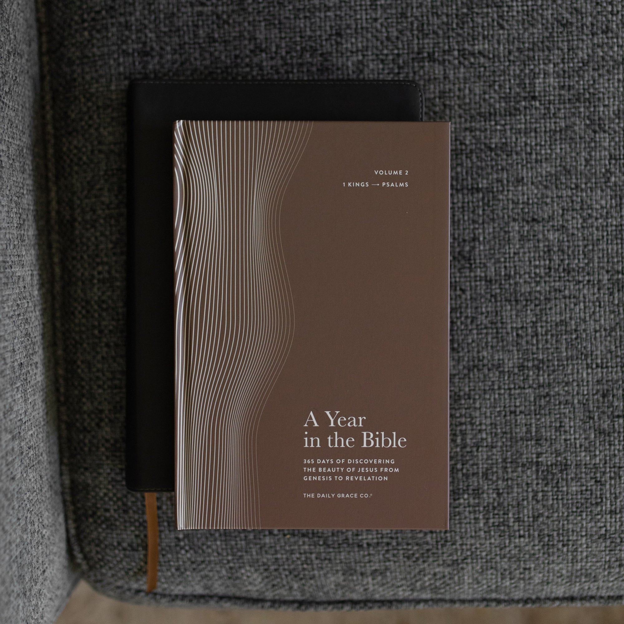 A Year in the Bible Mens Study cover on a gray couch cushion