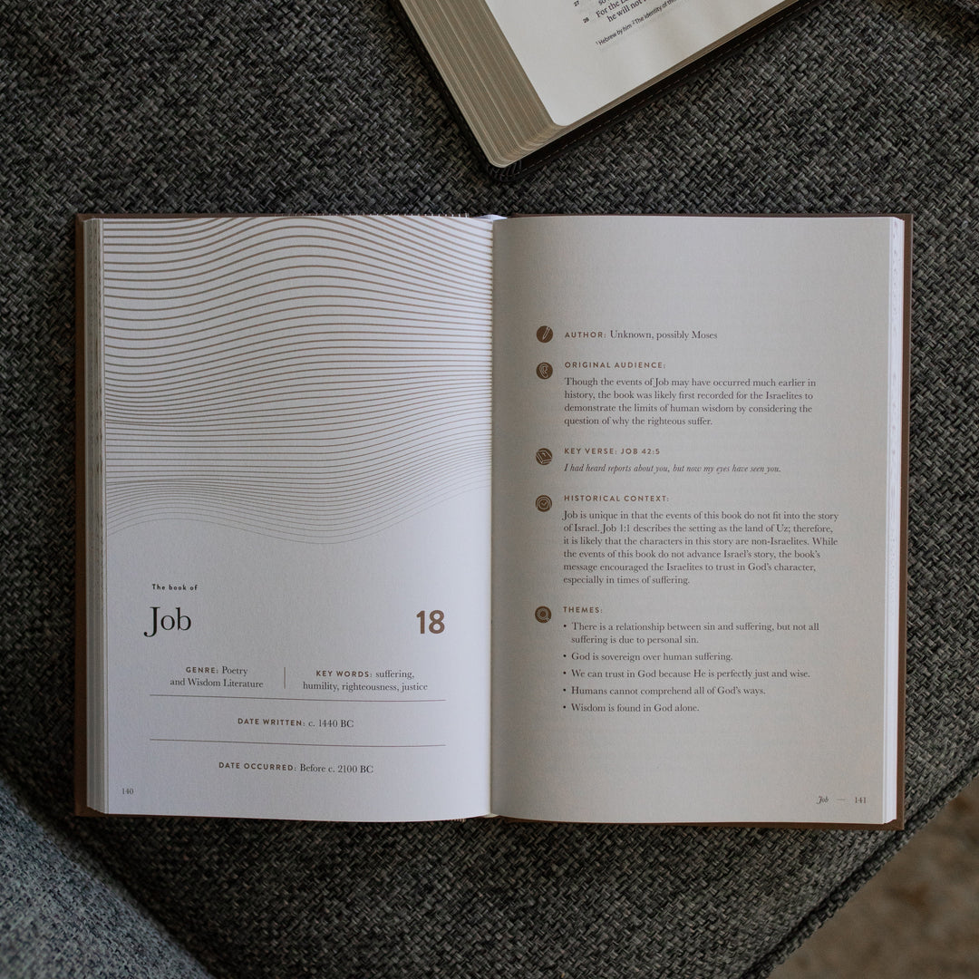 A Year in the Bible Mens Study opened to the Job page on a gray couch cushion