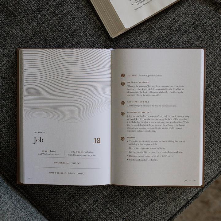 A Year in the Bible Mens Study opened to the Job page on a gray couch cushion