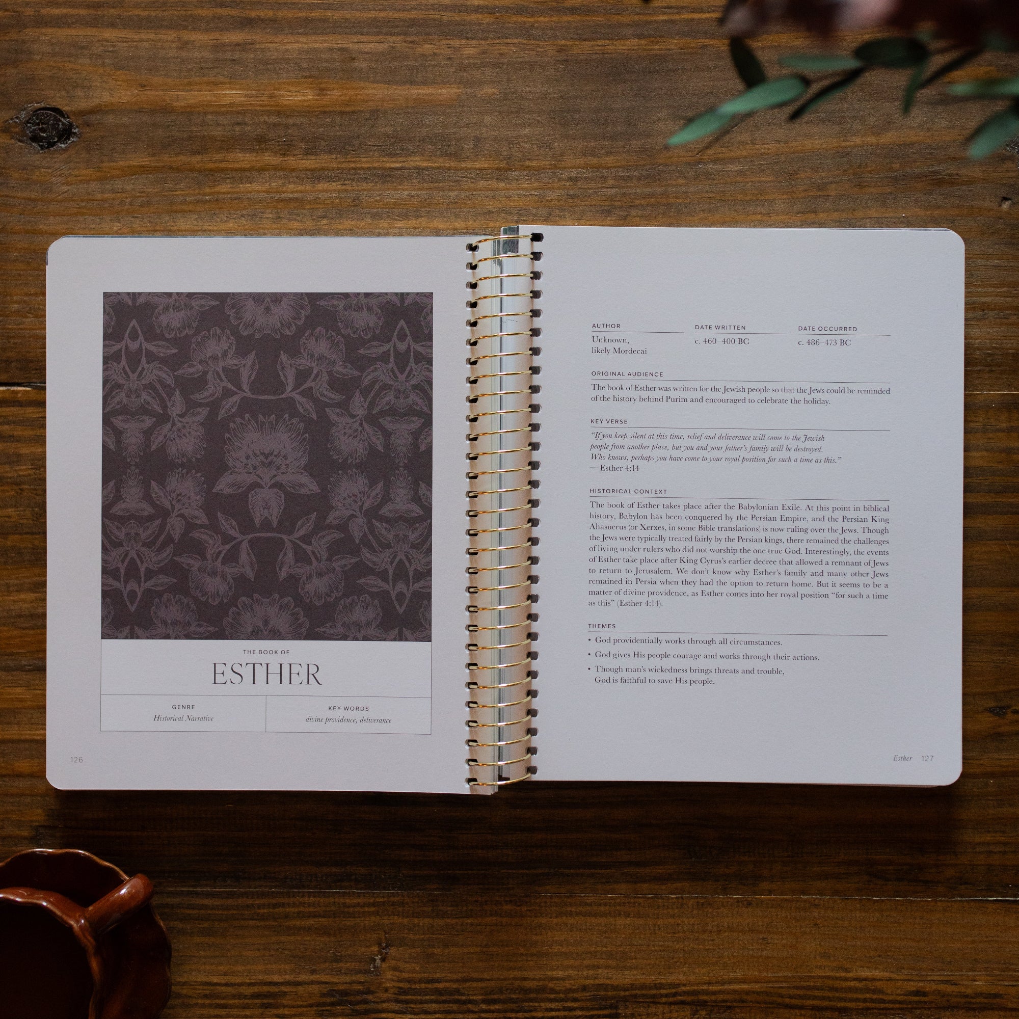 A Year in the Bible Spiral opened to the Esther main page next to a brown coffee cup on a brown wooden table