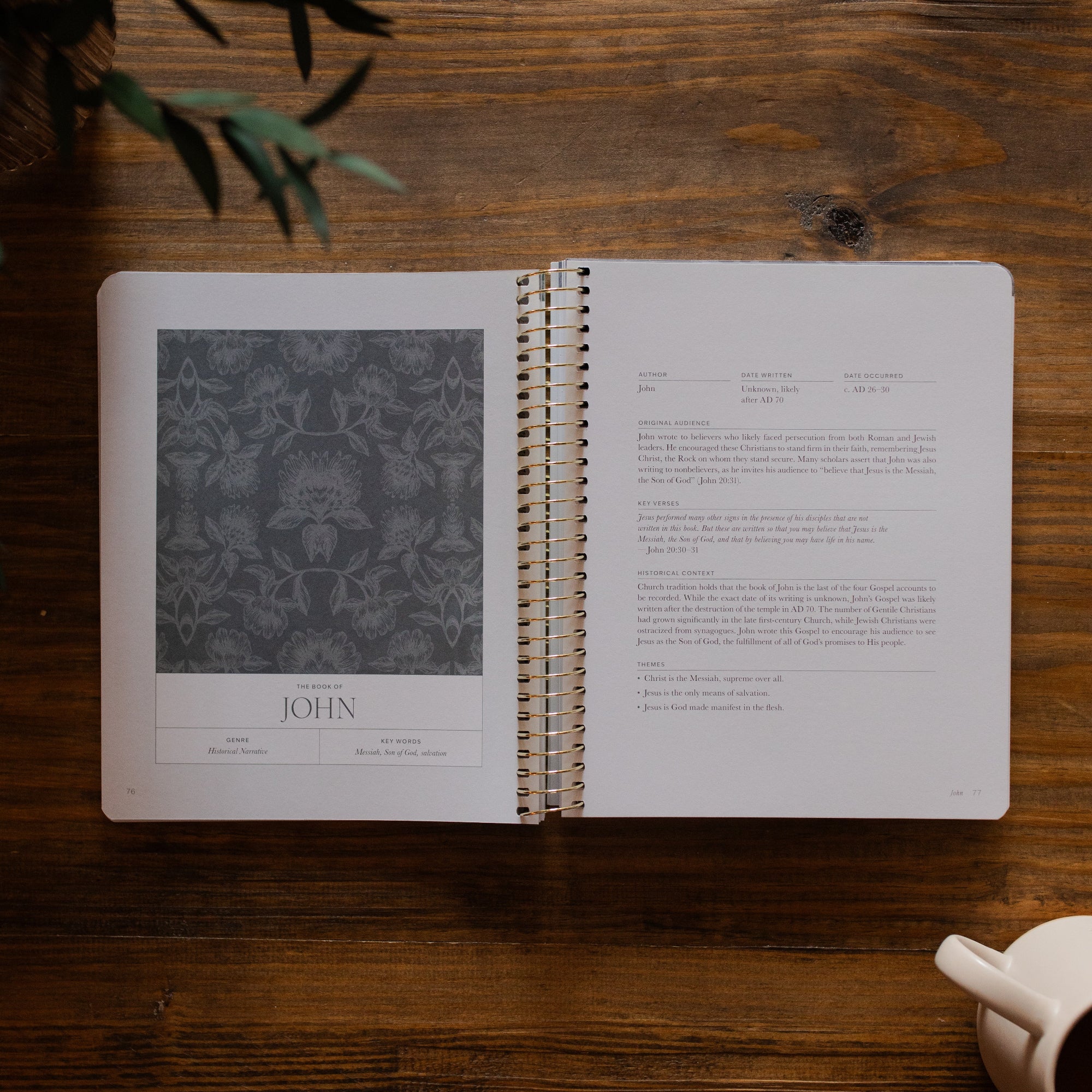 A Year in the Bible Vol 4 opened to the John beginning page on a wooden table