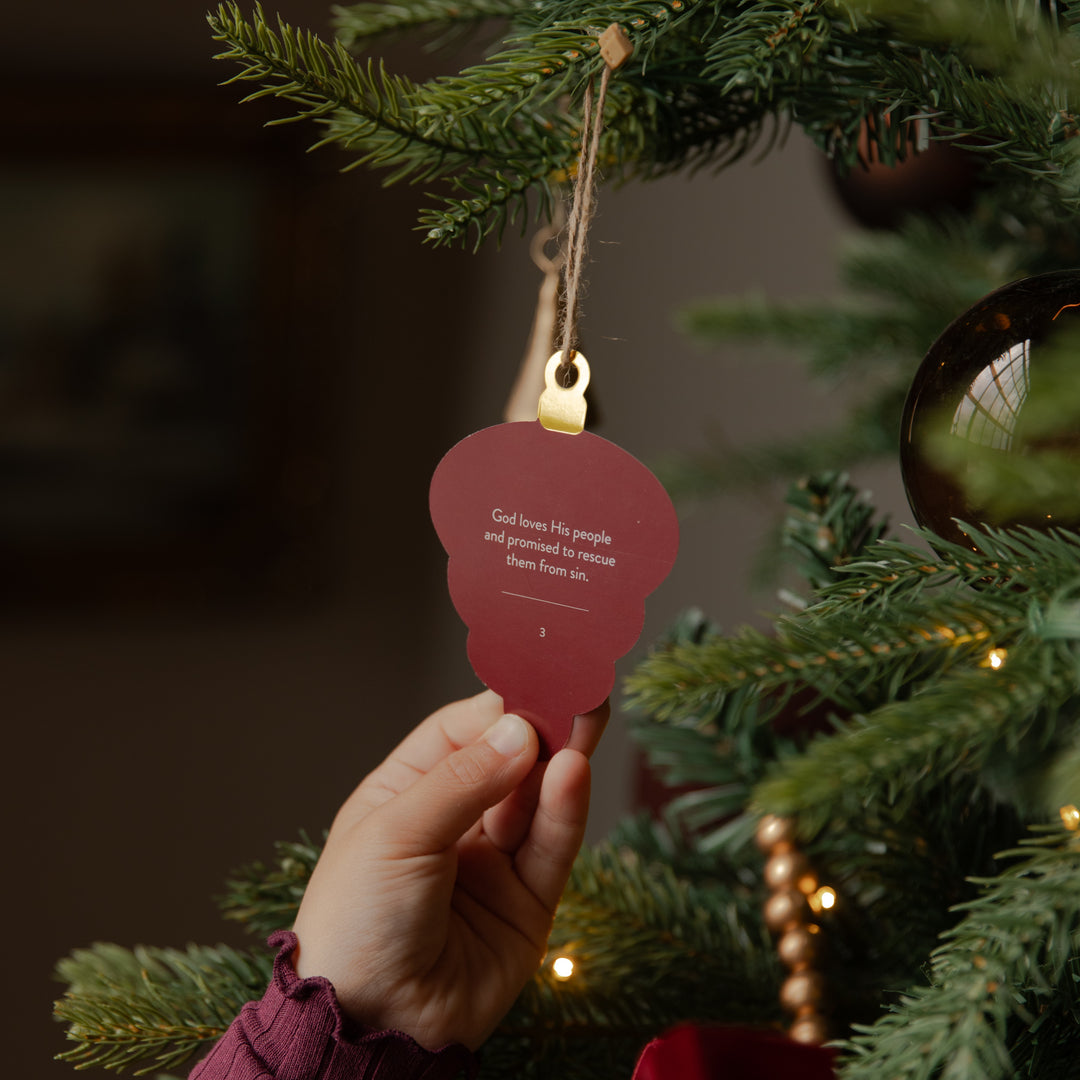 A hand holds a red Christmas ornament shaped like a cookie, hanging from a tree branch with a gold loop. The ornament has white printed text and is shown against a blurred Christmas tree background with warm lights.