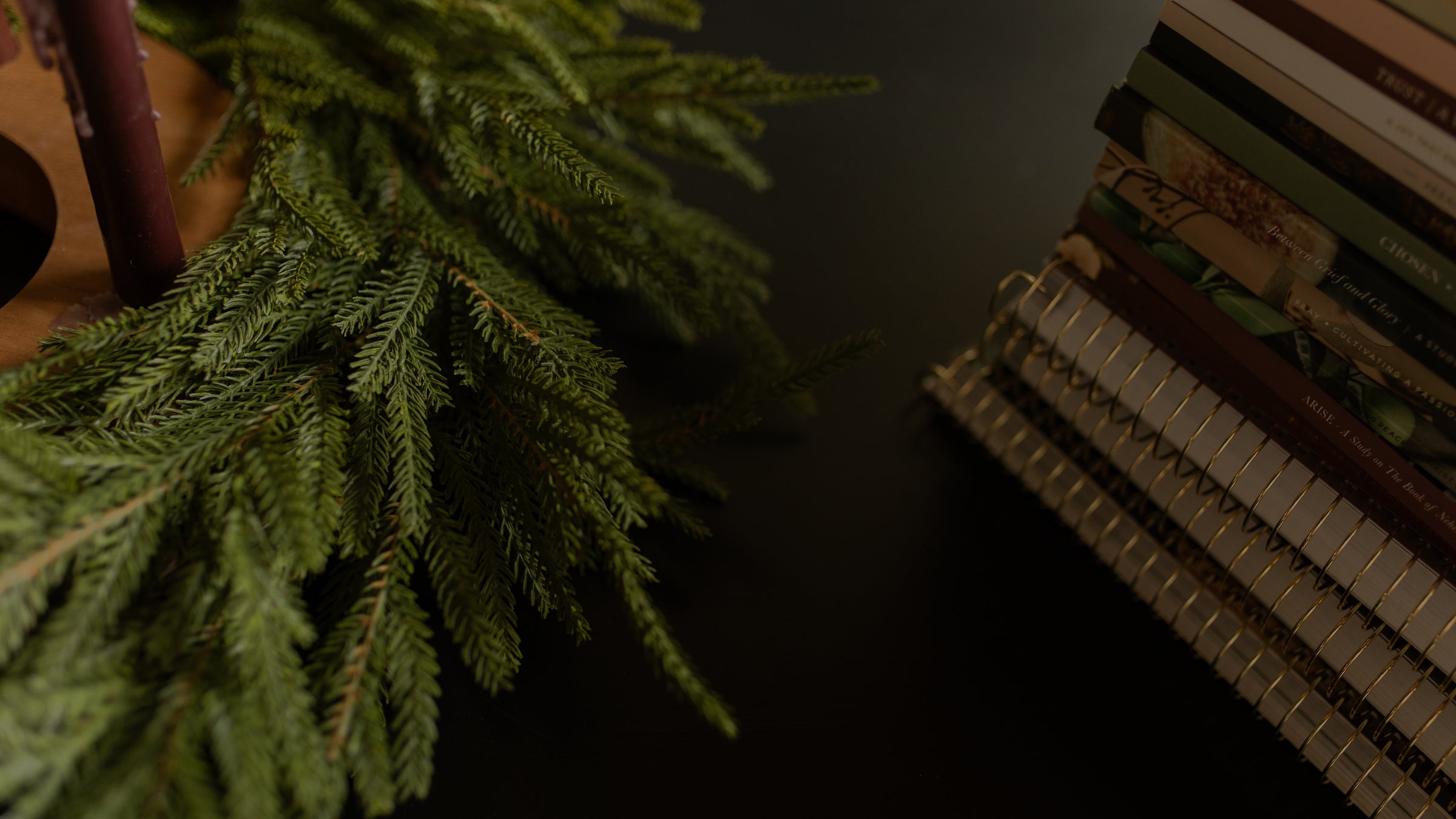A stack of multiple studies on a black table top near some greenery