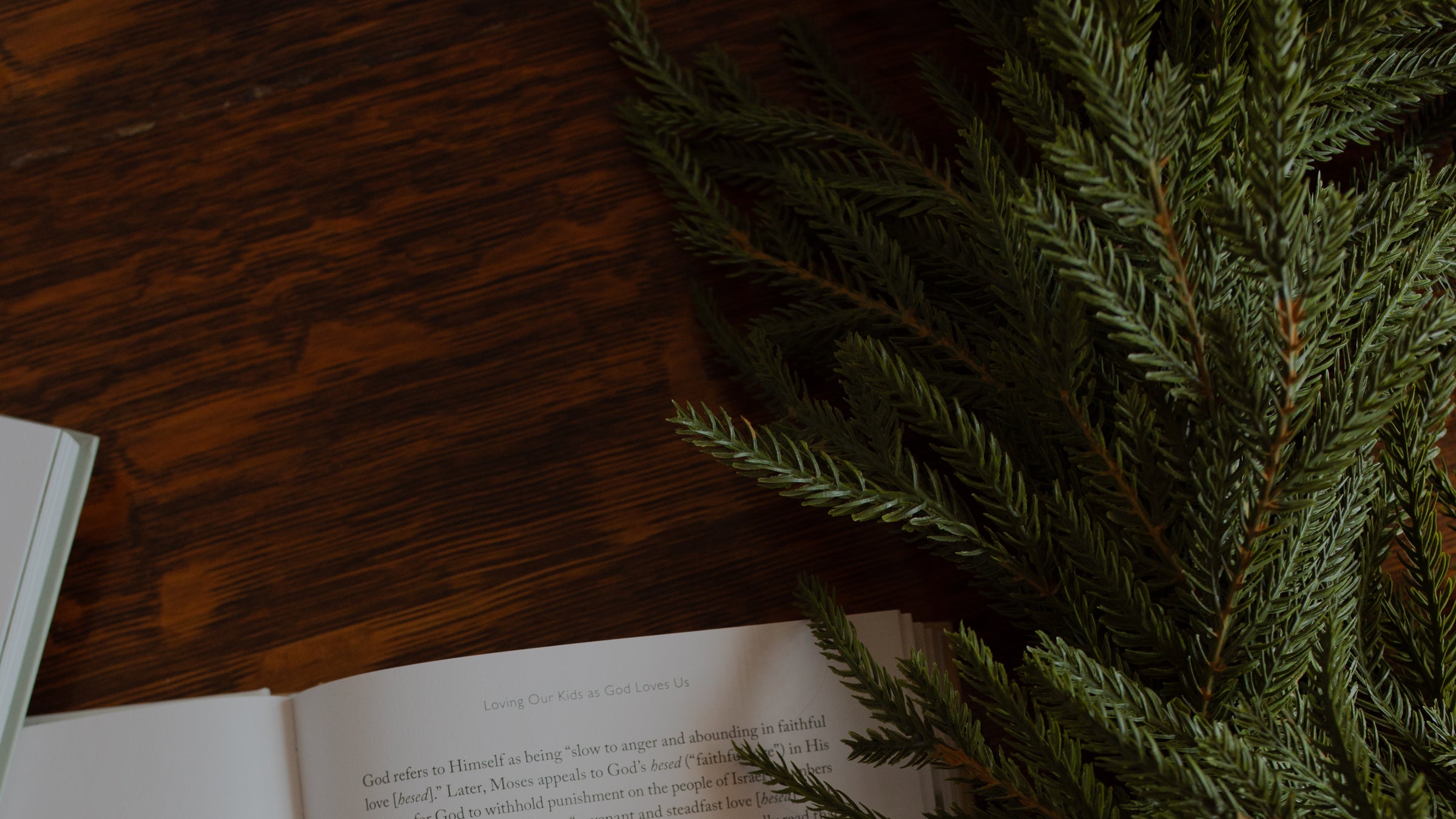 Open book on a wooden surface with green foliage