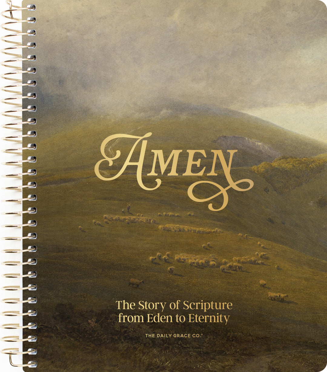 Spiral cover for 'Amen: The Story of Scripture from Eden to Eternity' by The Daily Grace Co., featuring a classical landscape painting of rolling green hills with sheep under a cloudy sky, with the word 'AMEN' printed horizontally in large gold letters.