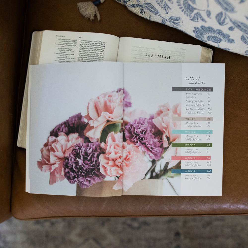 Amen from Eden to Eternity Matte Study opened to the table of contents page resting on a open bible on a brown leather couch next to a white and blue decorated pillow