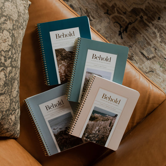 Behold | 4-Volume Bundle