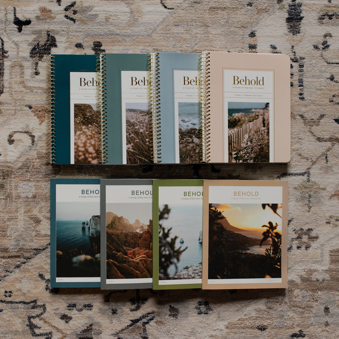 Behold Spiral study above the Behold men's version on a rug