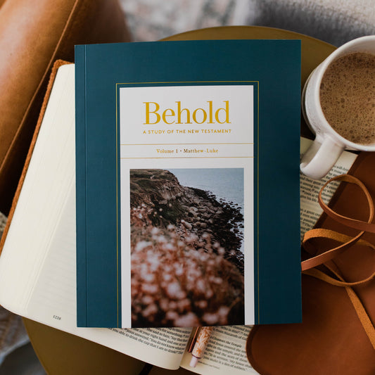 Behold: A Study of the New Testament | Volume 1 | Matthew - Luke