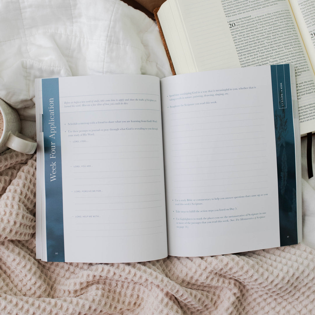 Slightly Imperfect - Behold: A Study of the New Testament | Volume 1 | Matthew - Luke