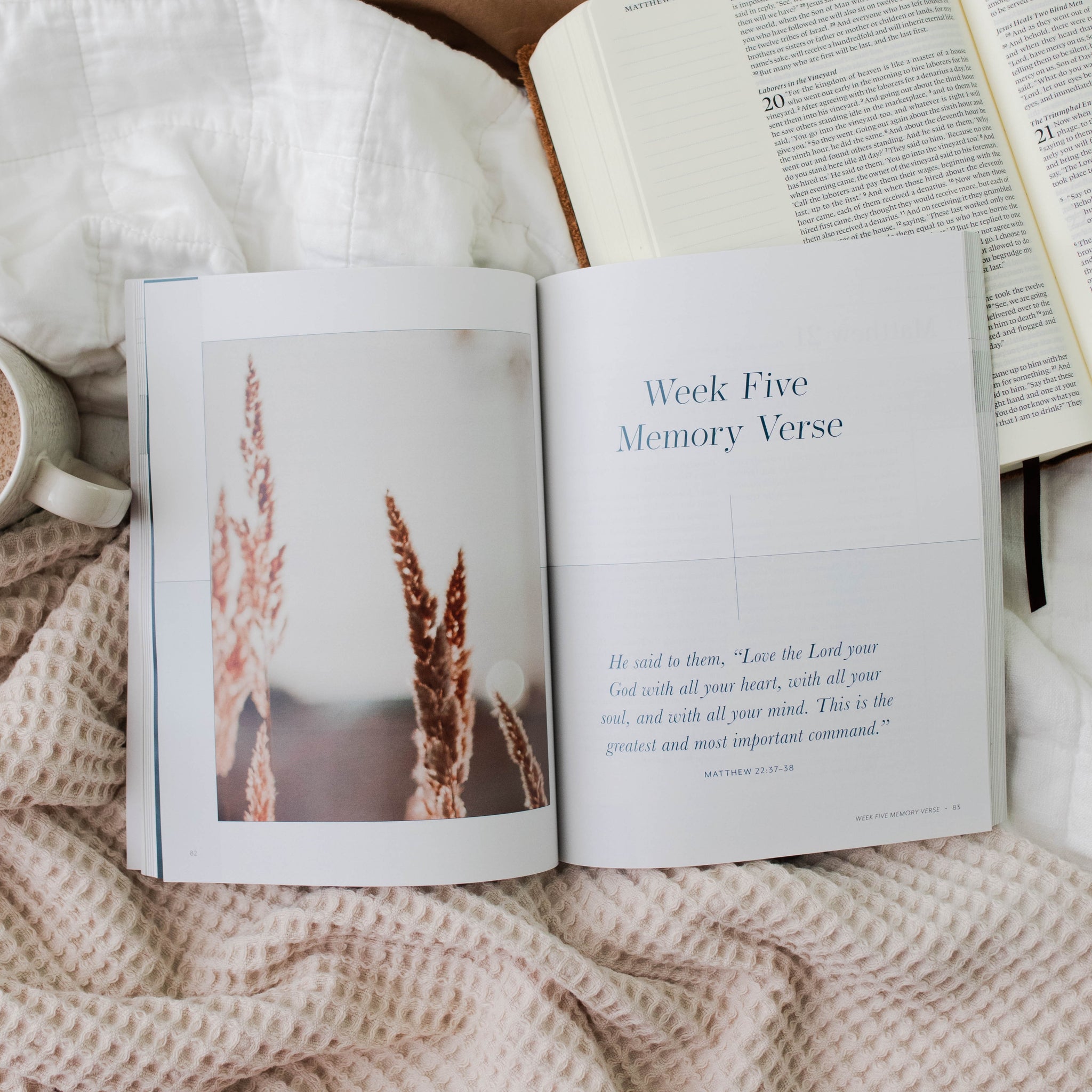 memory verse page in women's bible study