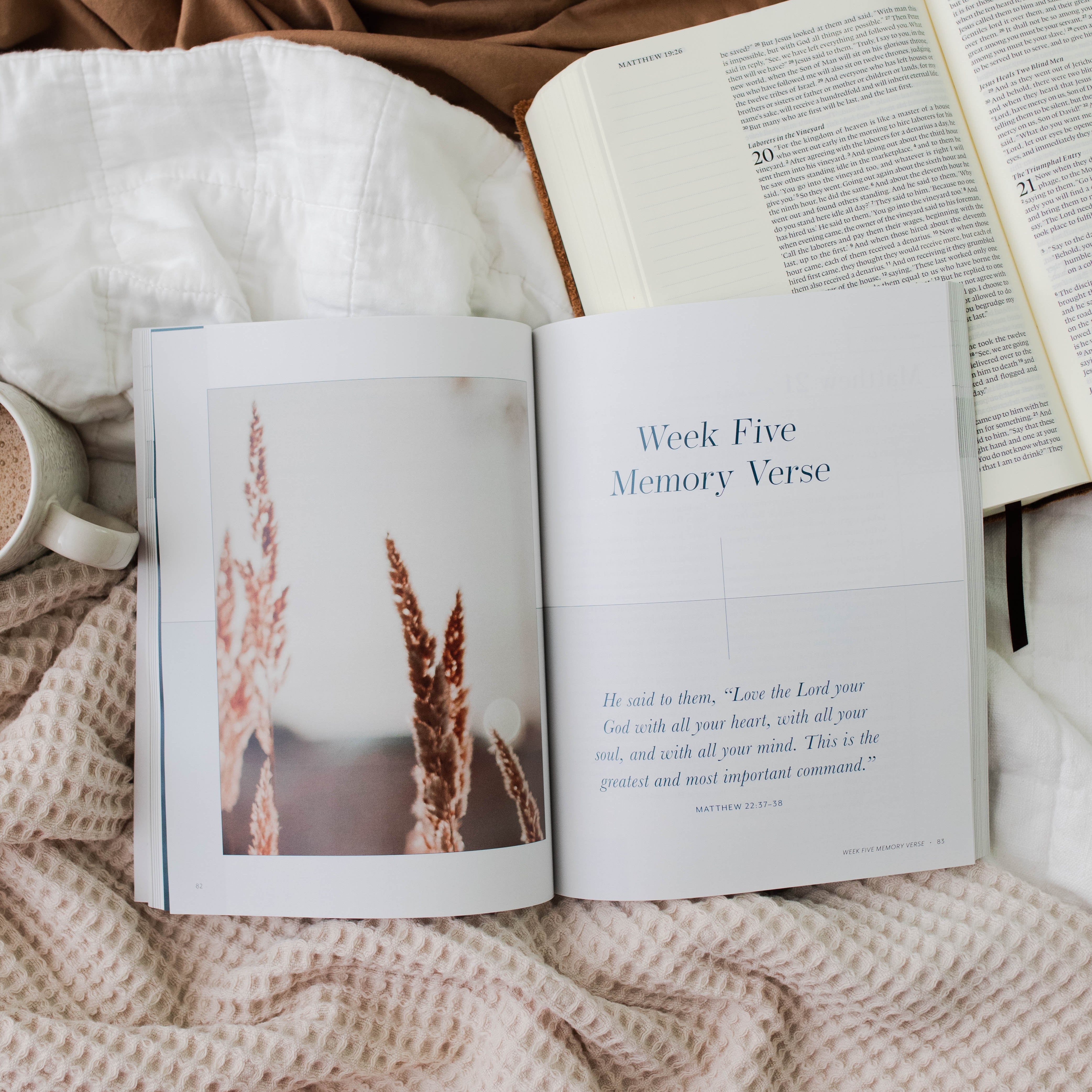 Open book with a photograph of tall grass and text on a textured surface