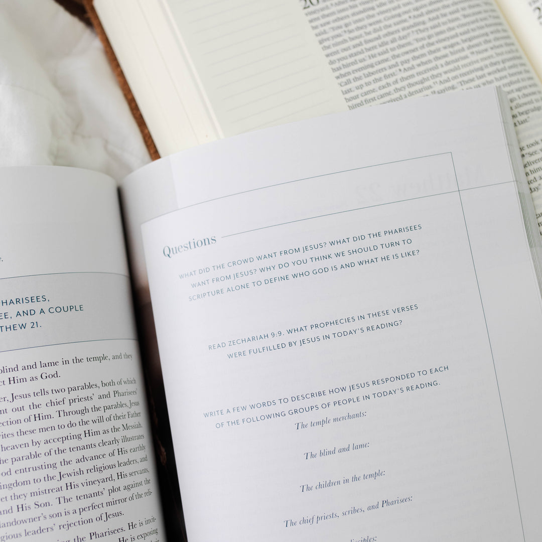 New Testament Bible Study Questions