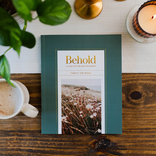 Behold: A Study of the New Testament | Volume 2 | John - Romans