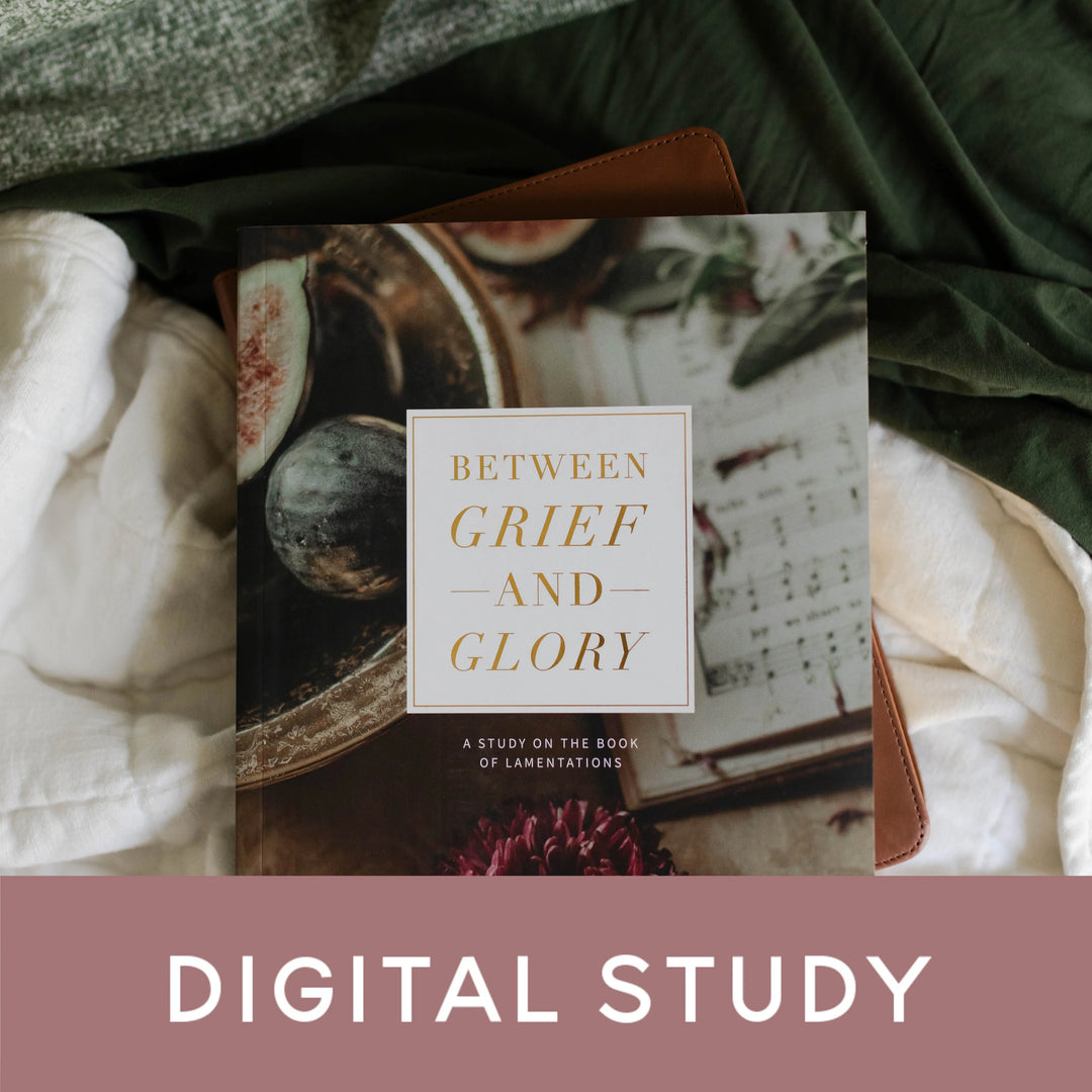 Christian Women's Bible study on book of Lamentations with a pink banner that says Digital Study