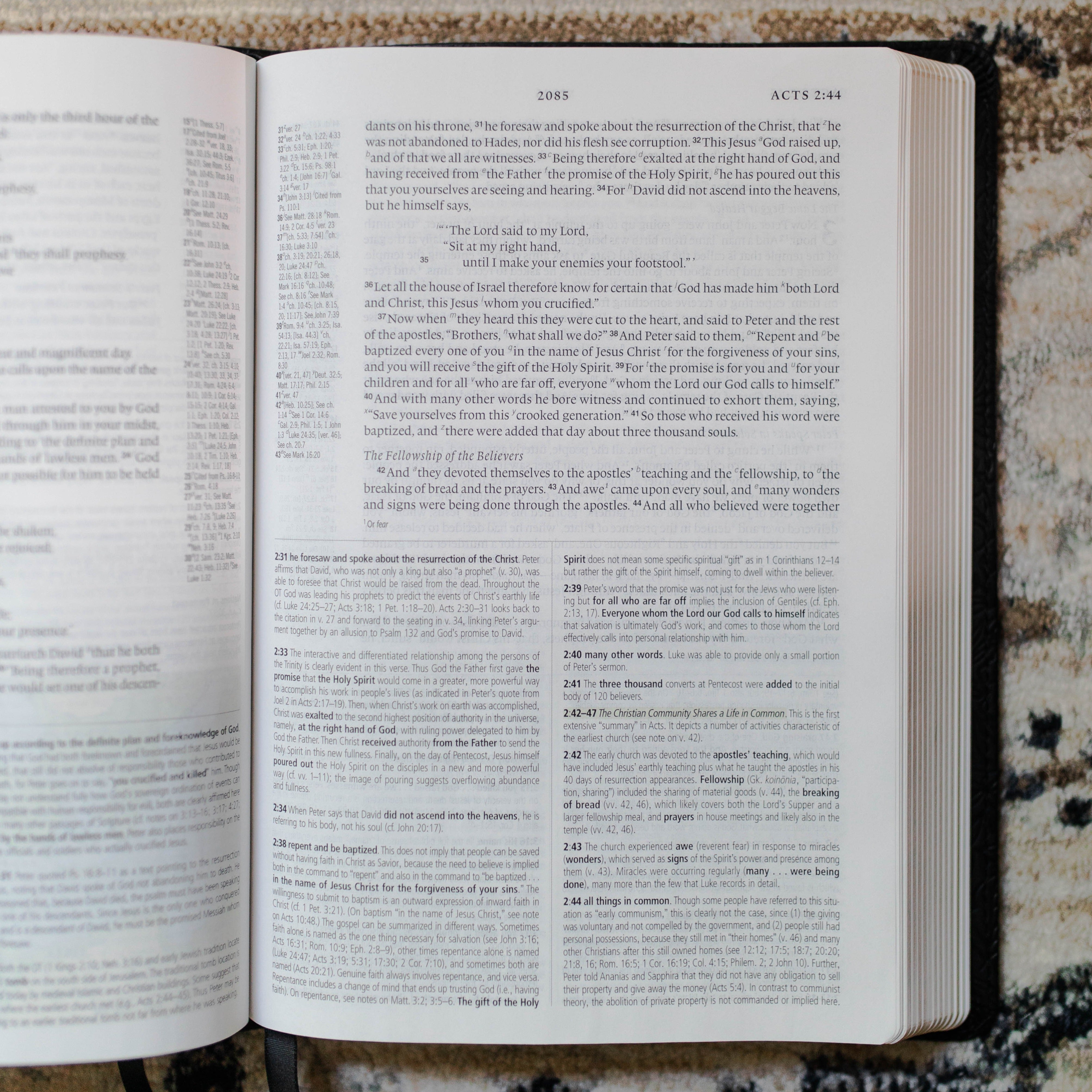 ESV Study Bible, TruTone® | Black Floral – The Daily Grace Co.