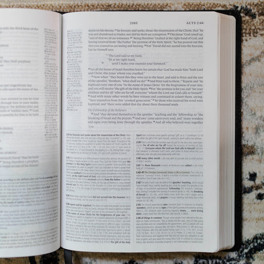 Black Floral - ESV Study Bible| TDGC