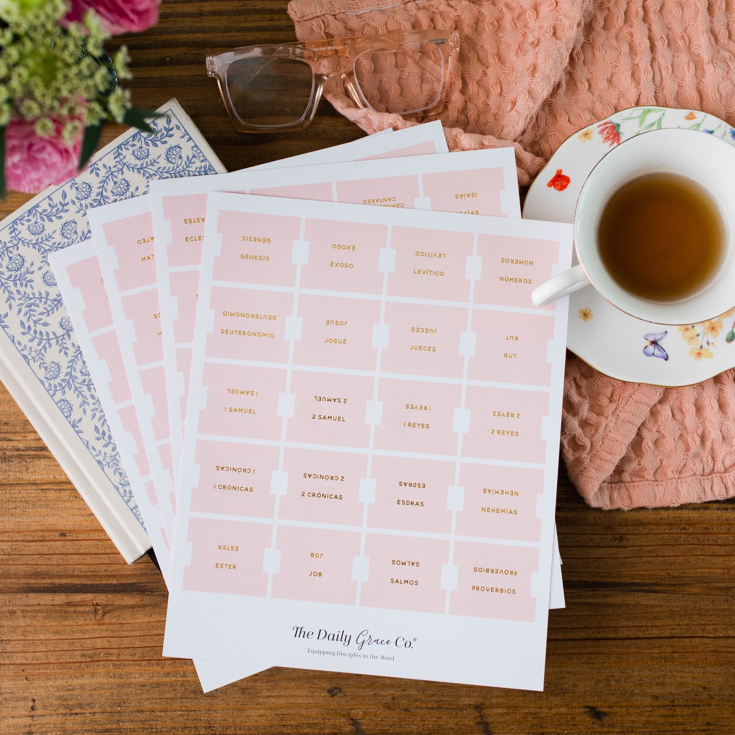 Blush Bible Tabs | Spanish Edition | TDGC