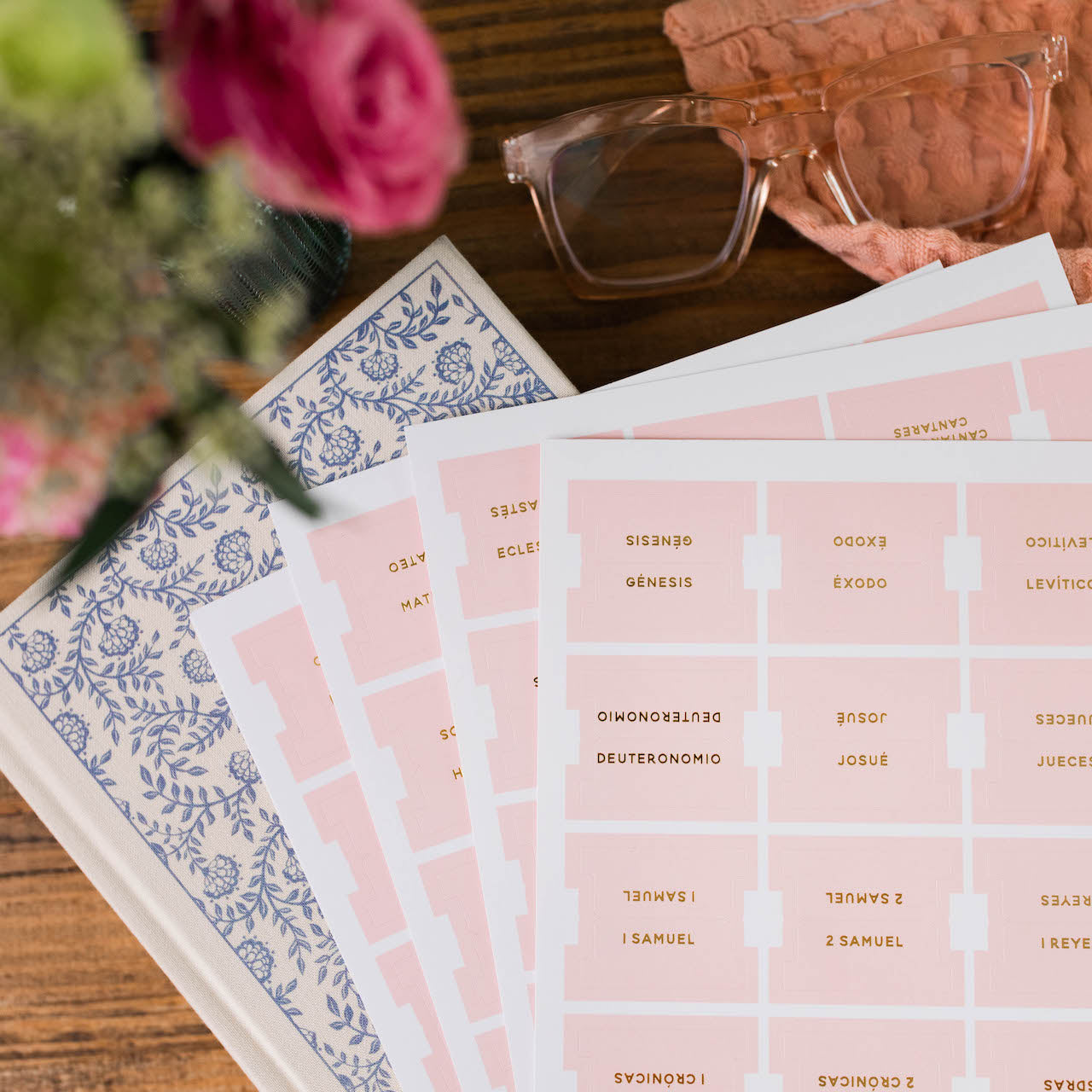 Blush Bible Tabs | Spanish Edition | TDGC