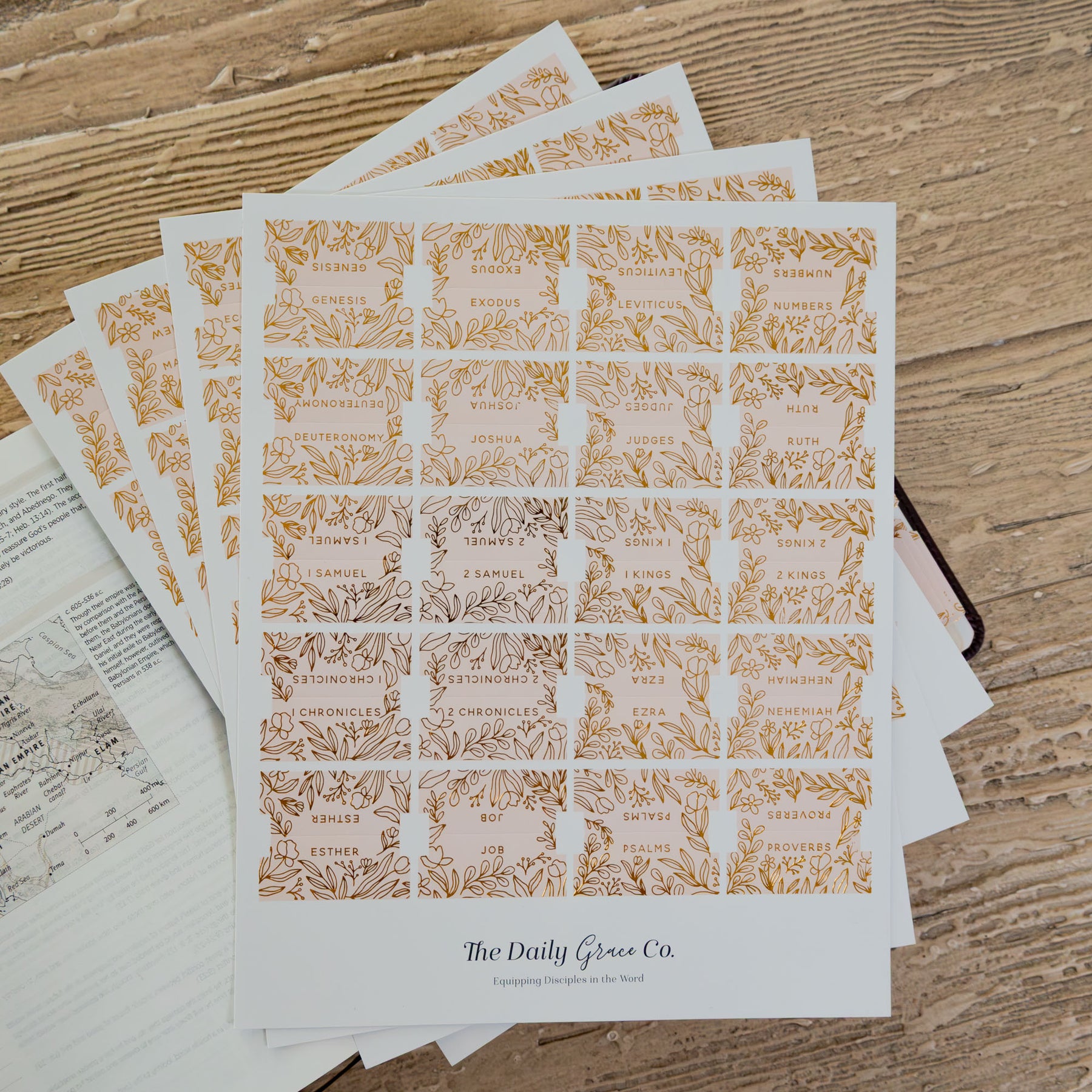 Gold Foil Bible Tabs - Cream | TDGC – The Daily Grace Co.