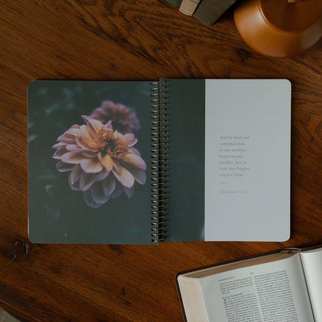 The Chosen study opened to a quote from Ephesians with a flower on the other page resting on a wooden table near an open bible