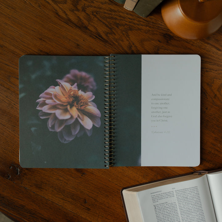 The Chosen study opened to a quote from Ephesians with a flower on the other page resting on a wooden table near an open bible