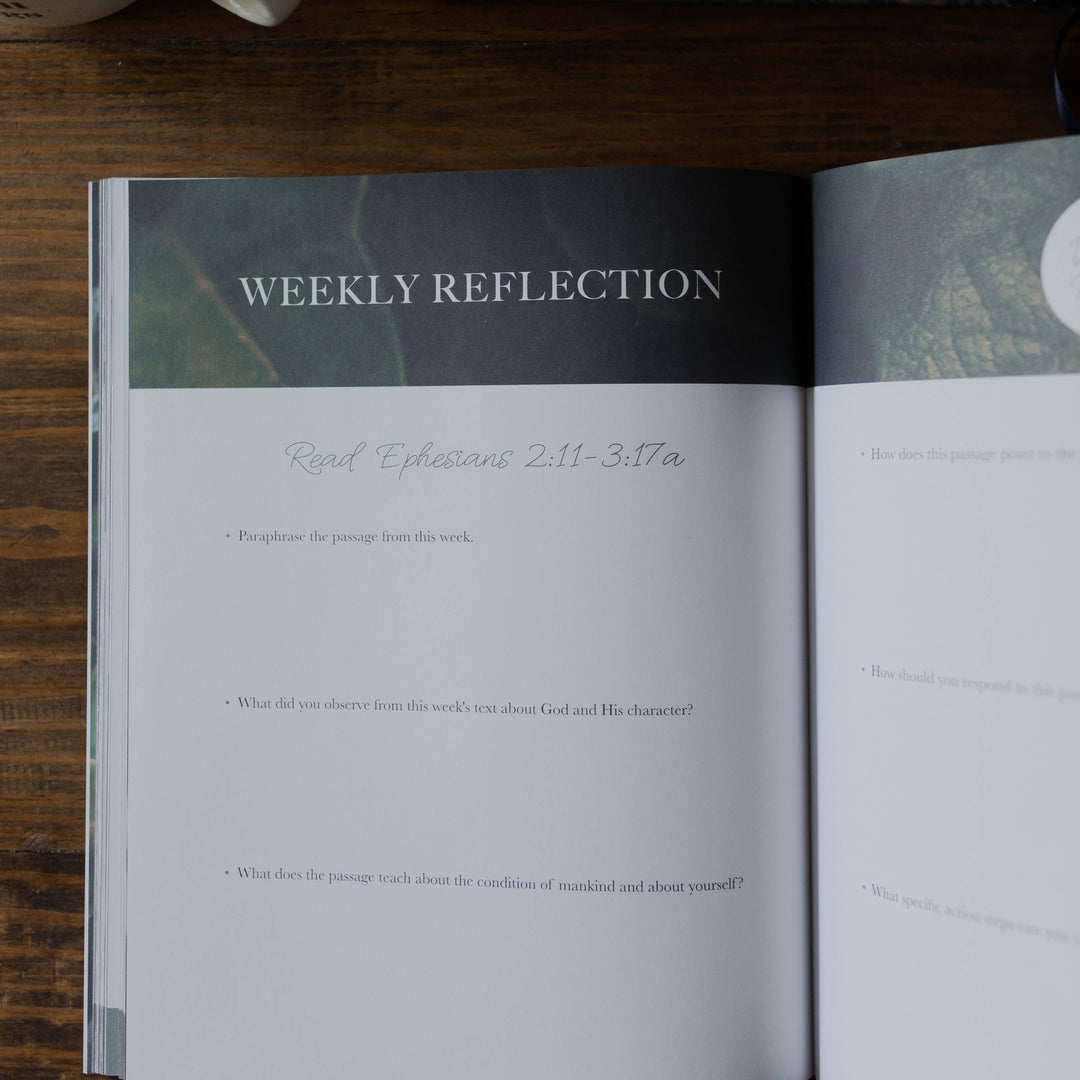 weekly reflection questions in ephesians bible study