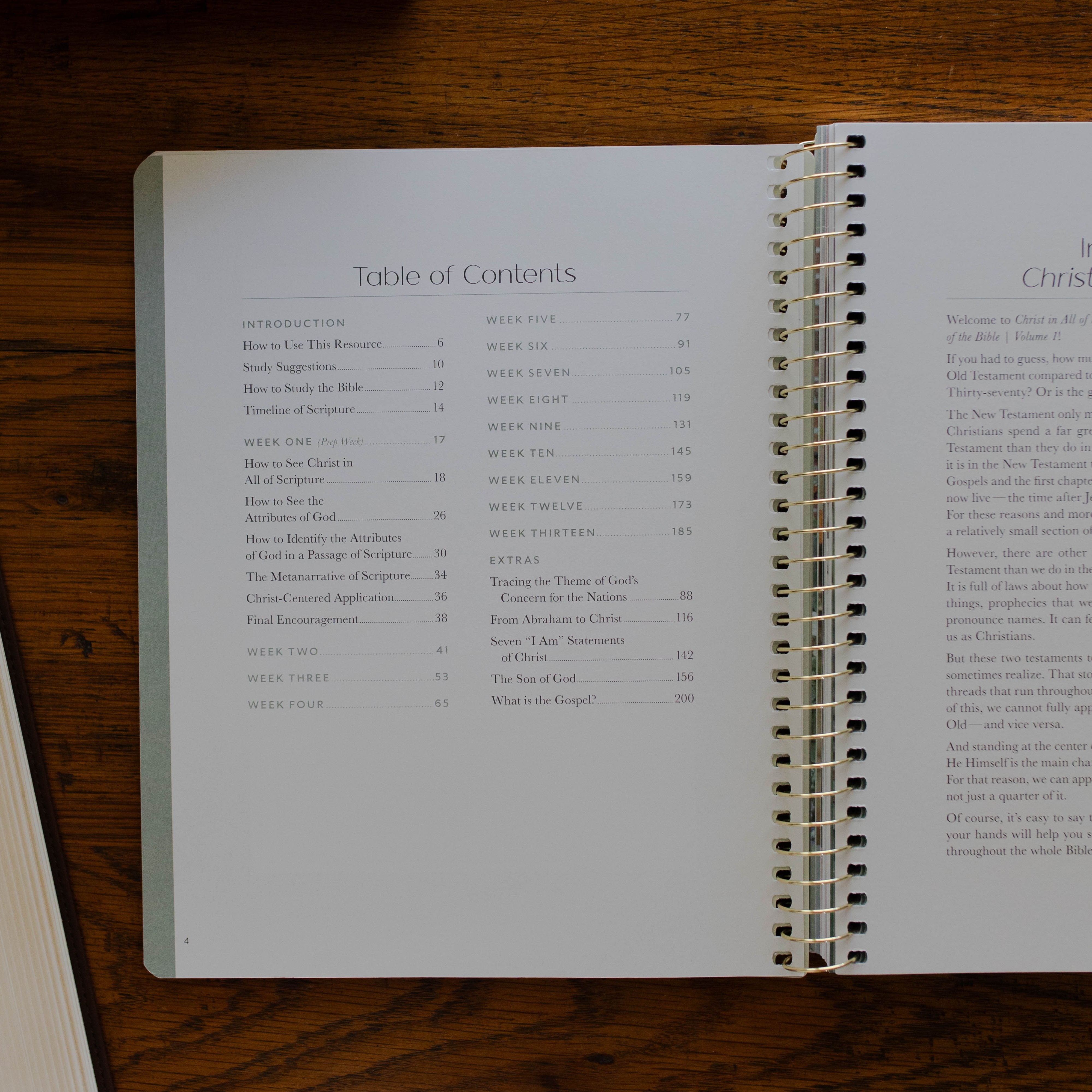 Table of contents for Christ in All of Scripture Bible study for women