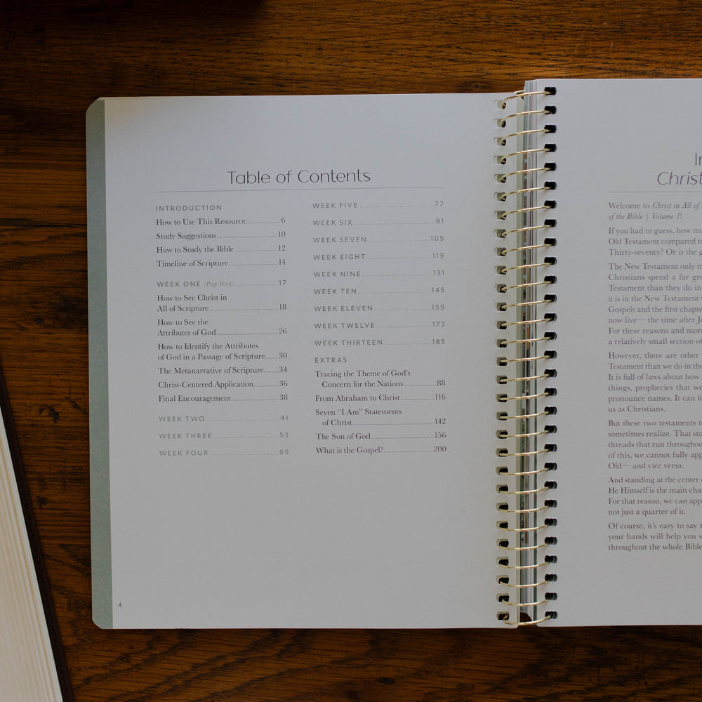 Table of contents for Christ in All of Scripture Bible study for women