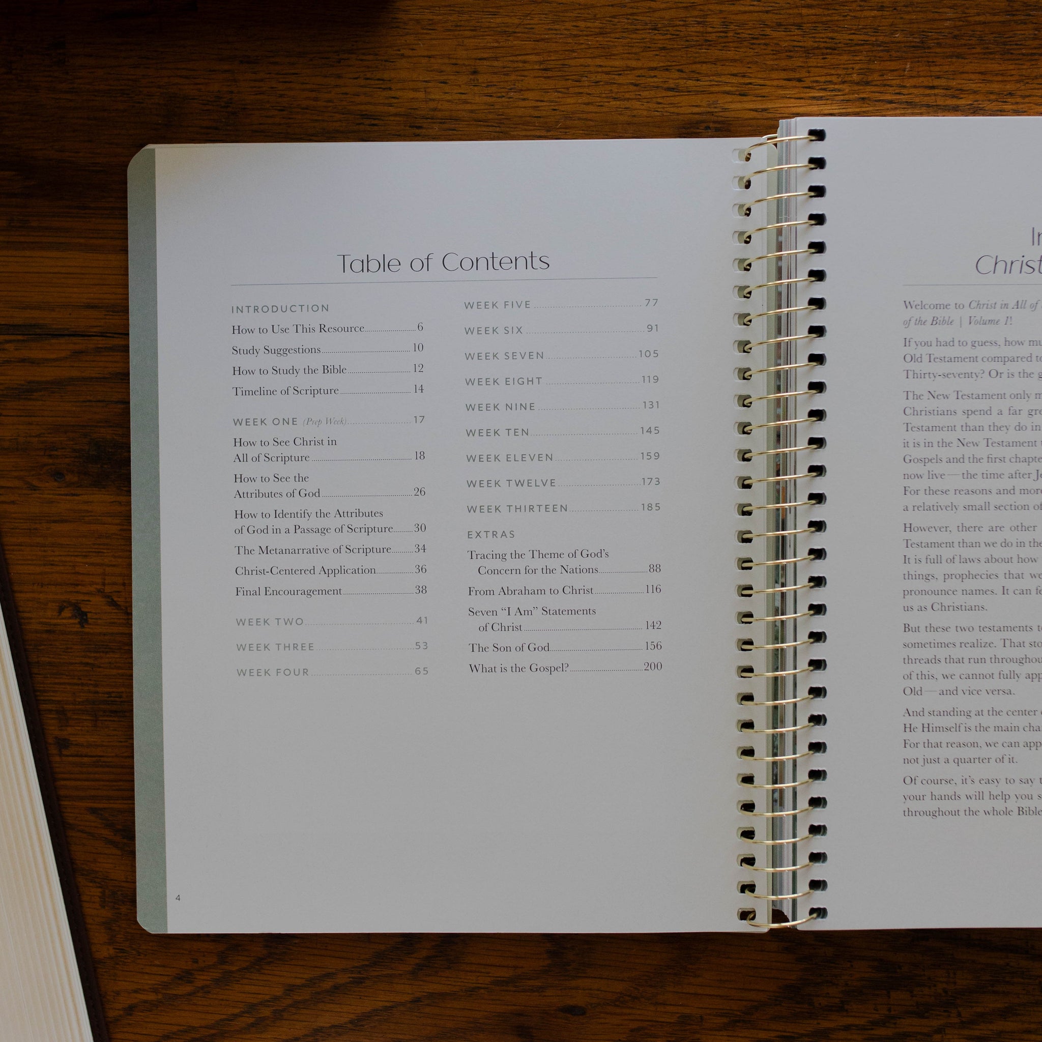 Table of contents for Christ in All of Scripture Bible study for women