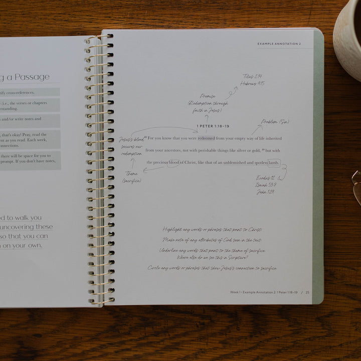 example of verse mapping in christian women's bible study about Jesus in all of the Bible