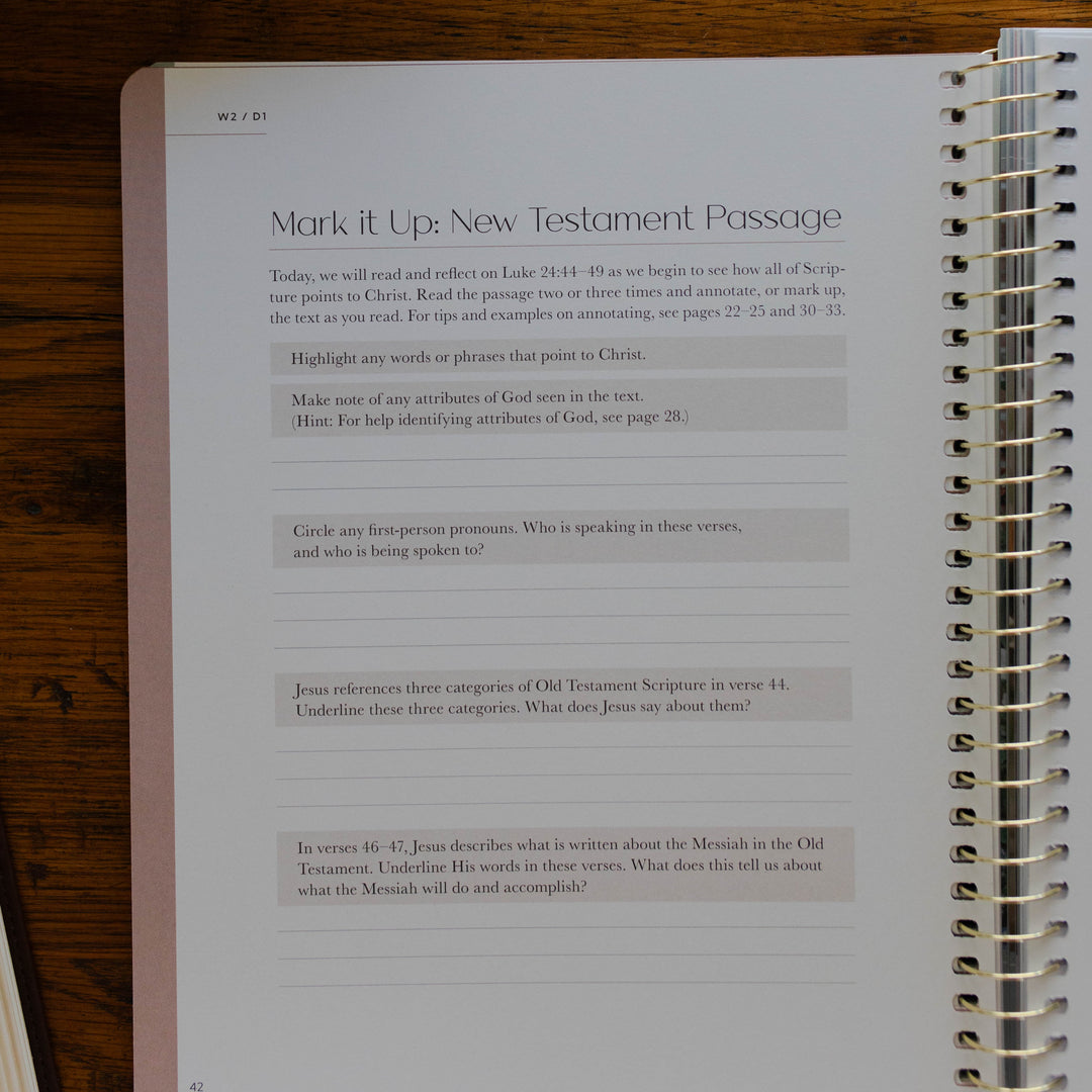 verse mapping of new testament example in christ in all of scripture bible study for women 