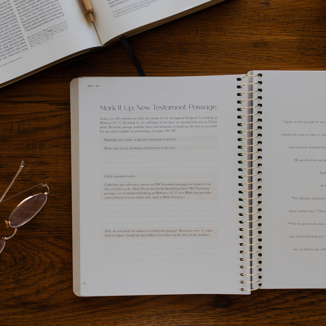 verse mapping example questions for christ in all of scripture old testament passage 