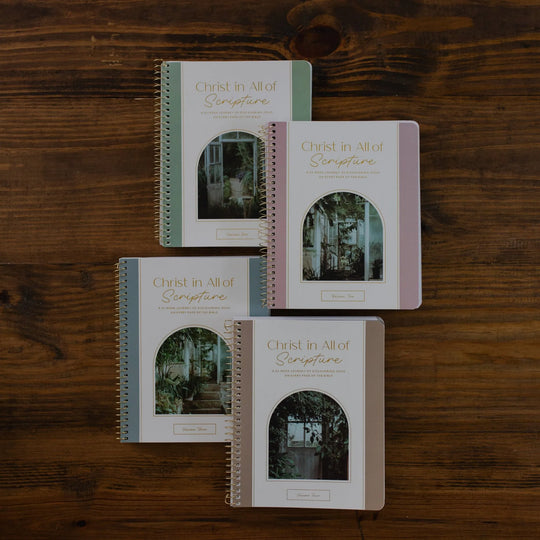 Christ in All of Scripture | 4 Volume Set | Year-Long Bible Study