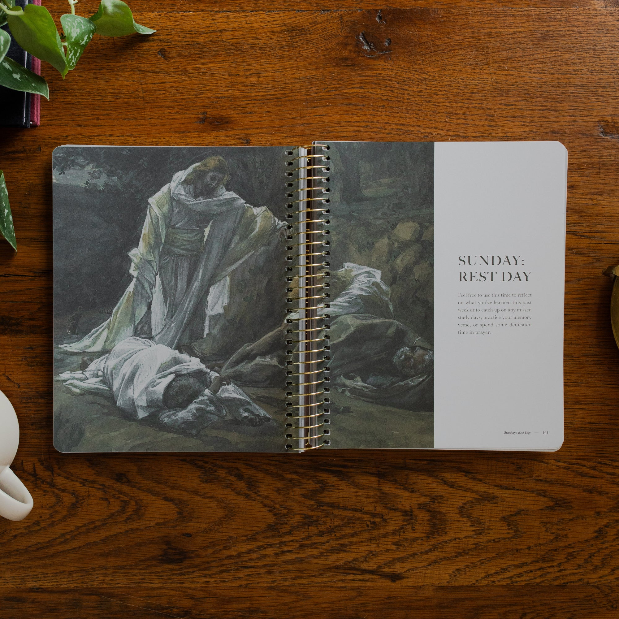 Grace グレース　洋書 Clinging to the Cross - Spiral | TDGC – The Daily Grace Co.