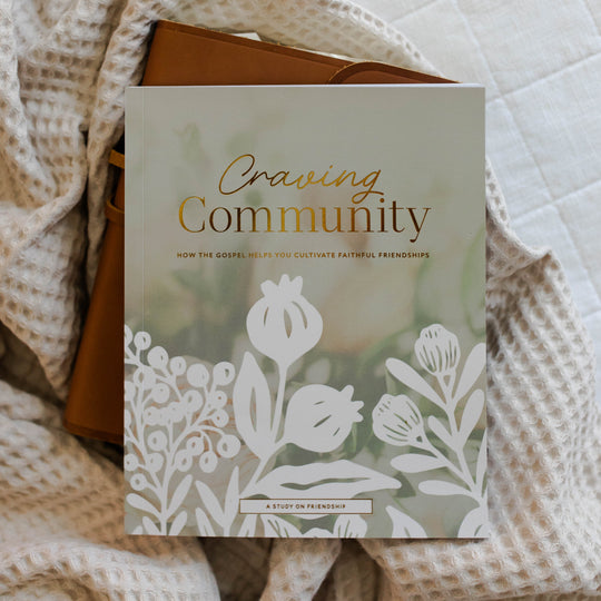 Craving Community | A Bible Study on Friendship