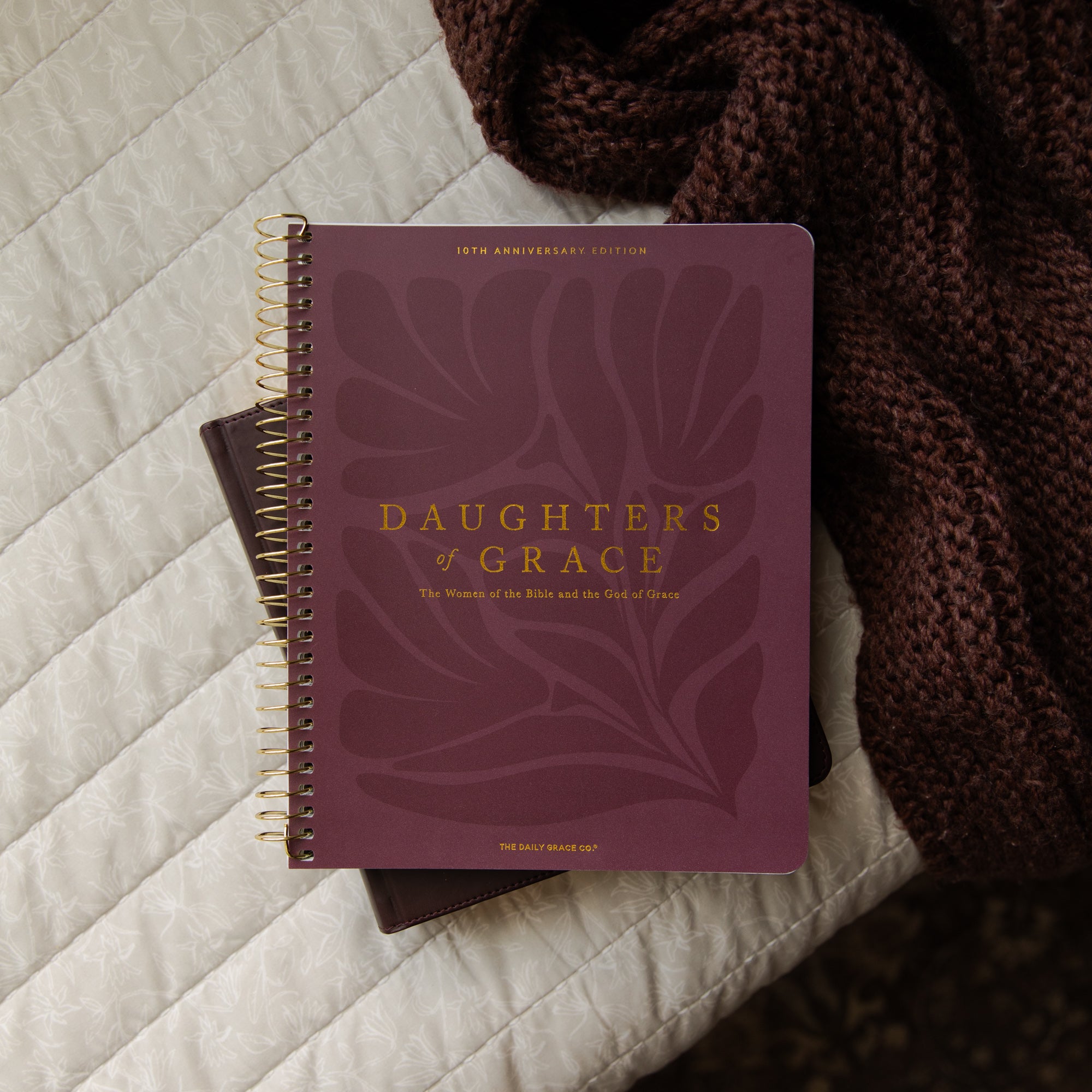 Purple Bible Study titled 'Daughters of Grace' on a textured surface with a brown knitted blanket.