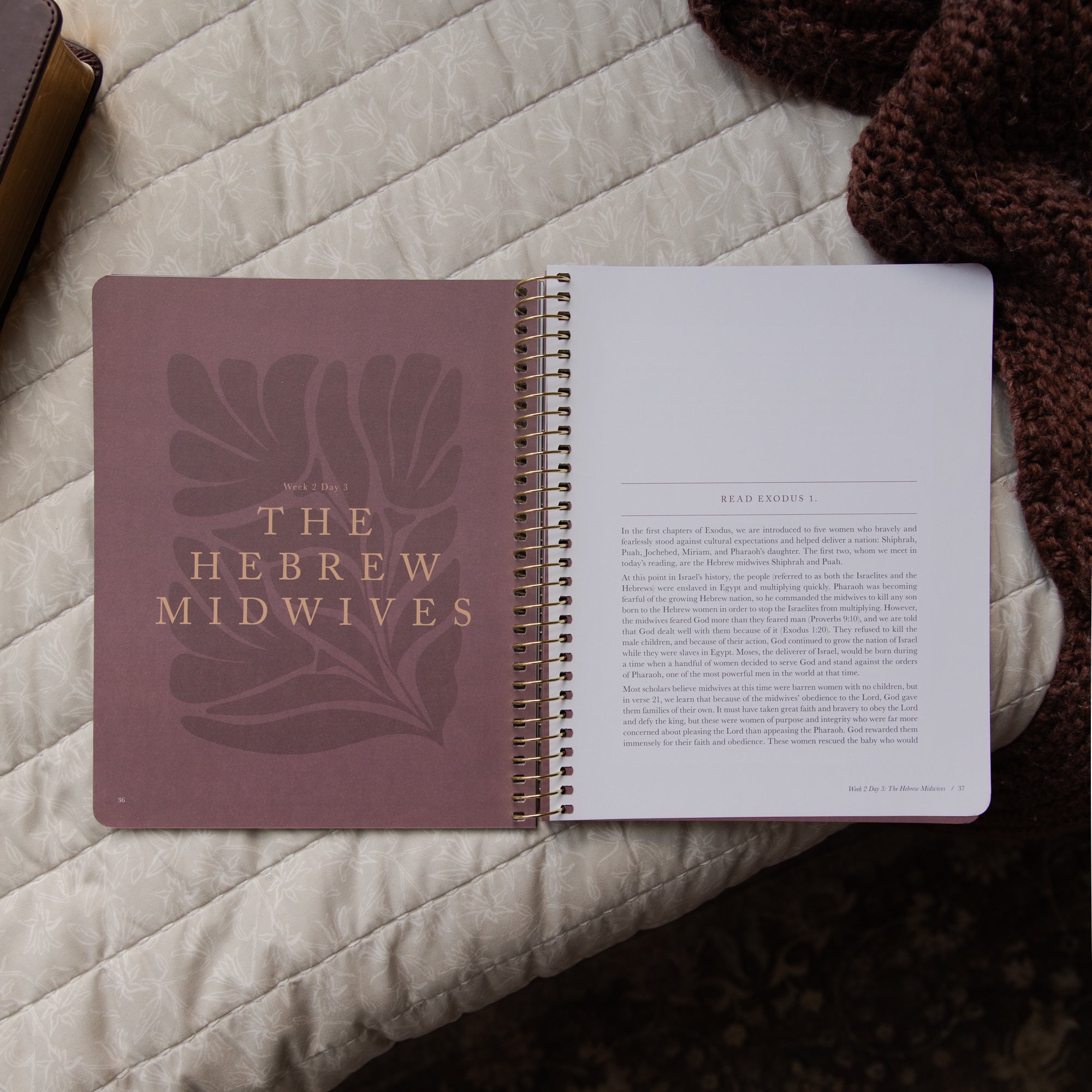 Open Bible Study titled 'The Hebrew Midwives' on a textured surface