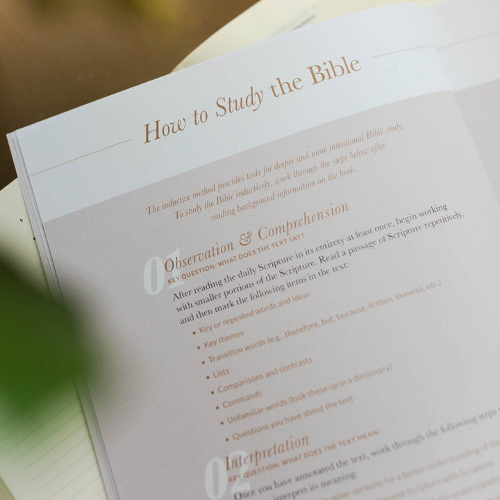 how to study the bible study tips