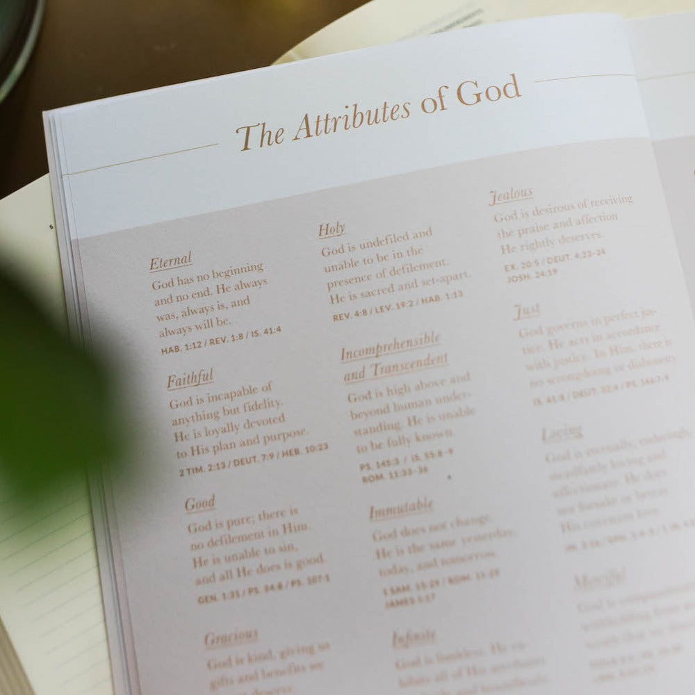 the attributes of god bible study tips