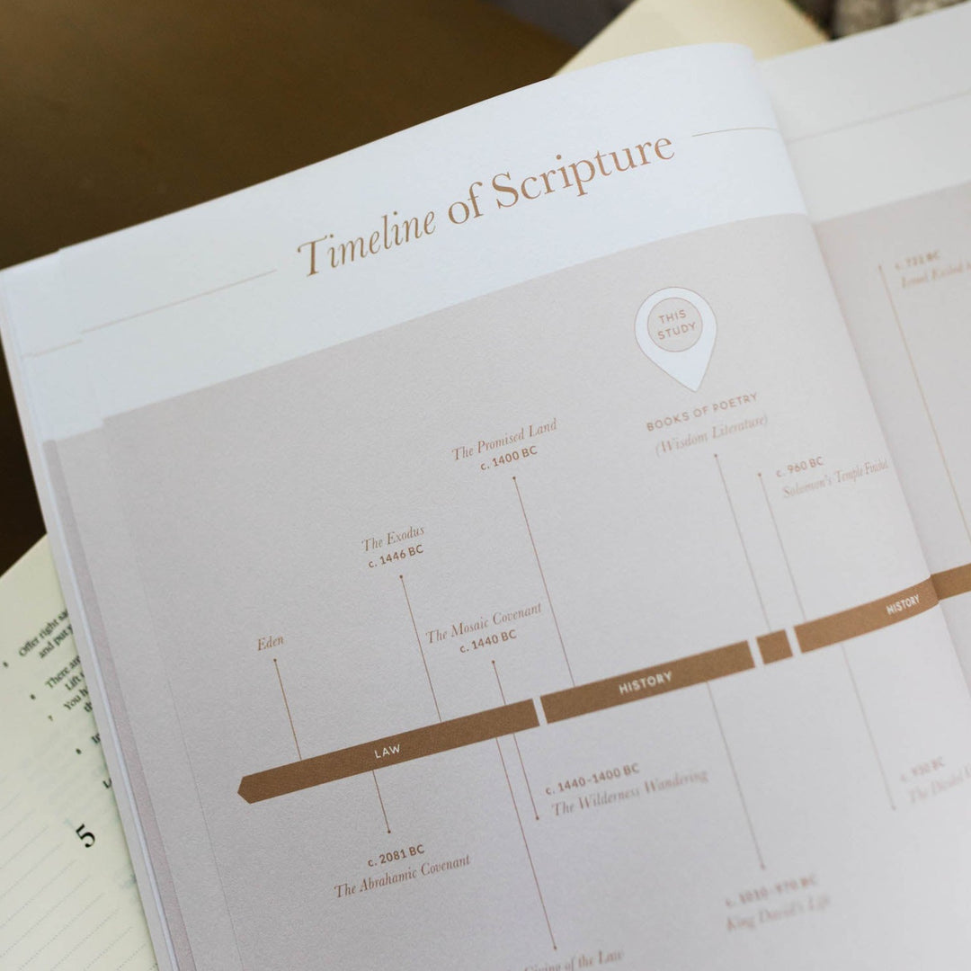 bible timeline bible study for women