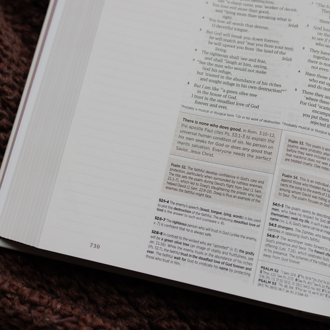 Up close of the ESV Bible Roman opened to the Psalms page on a brown blanket
